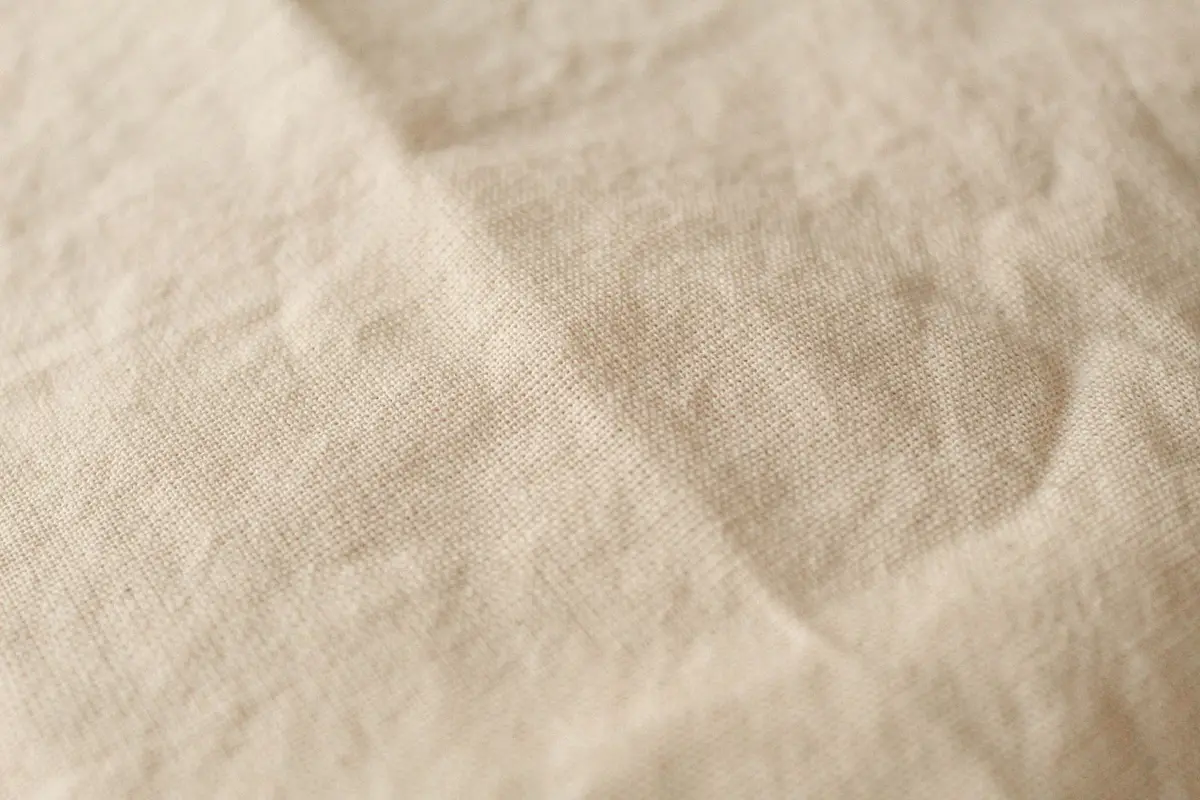 Close-up of natural cotton canvas, the plain weave visible thread by thread